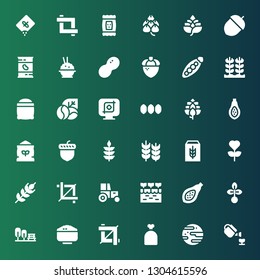 seed icon set. Collection of 36 filled seed icons included Gardening, Jawbreaker, Sack, Crop, Rice, Garden, Seed, Papaya, Farm, Tractor, Wheat, Cereal, Acorn, Flour, Hop, Seeds