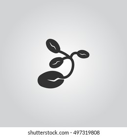 seed icon silhouette vector 