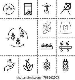 Seed icons. set of 13 editable outline seed icons such as wheat, harvest, hand with seeds, dandelion, sprout plants, seed bag, sprout, plant