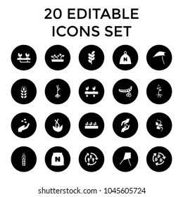 Seed icons. set of 20 editable filled seed icons such as wheat, harvest, sack, peas, hand with seeds, dandelion, sprout plants. best quality seed elements in trendy style.