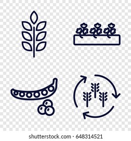 Seed icons set. set of 4 seed outline icons such as wheat, harvest, peas