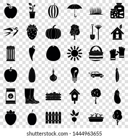 Seed icons set. Simple style of 36 seed vector icons for web for any design
