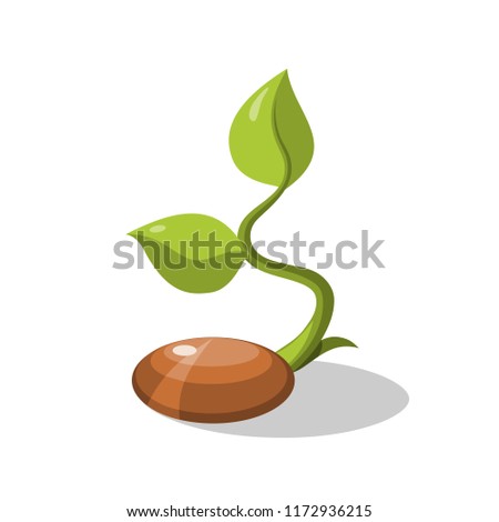 Seed icons vector.