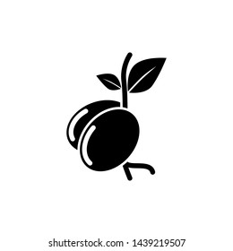 Seed Icons Vector Illustration - Vector