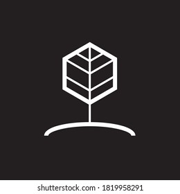seed leaf icon logo hexagonal