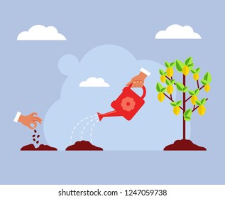 Seed lemon fruit tree growing stages steps. Gardening concept. Vector flat cartoon design graphic isolated illustration
