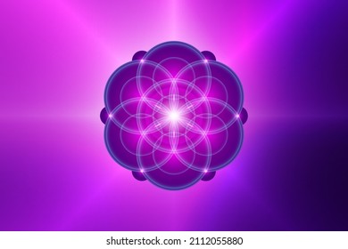 Seed of life, Spiritual Sacred Geometry, Flower of Life, lotus neon light logo Symbol of Harmony and Balance, Glowing Geometrical Ornament, yoga, relax, vector isolated on purple color background