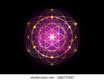 Seed of life symbol Sacred Geometry.  Geometric mystic mandala of alchemy esoteric Flower of Life. Gold luxury design, vector divine meditative amulet isolated on black background