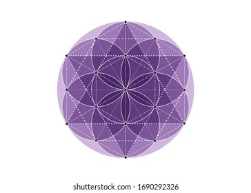 Seed of life symbol Sacred Geometry.  Geometric mystic mandala of alchemy esoteric colorful Flower of Life in shade of purple color. Divine meditative amulet, vector isolated on white background