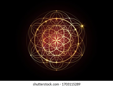 Seed of life symbol Sacred Geometry.  Geometric mystic mandala of alchemy esoteric Flower of Life. Gold luxury design, vector divine meditative amulet isolated on black background