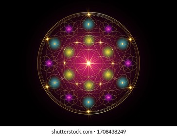 Símbolo de semilla de vida Geometría sagrada.  Mandala mística geométrica india de alquimia esotérica Flor de vida. Diseño de lujo dorado, amuleto divino meditativo tibetano vectorial aislado en fondo negro