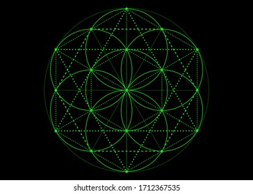 Símbolo de semilla de vida Geometría sagrada. mandala mística verde de alquimia esotérica, Flor de vida. Efecto de color brillante del neón vector aislado en fondo negro