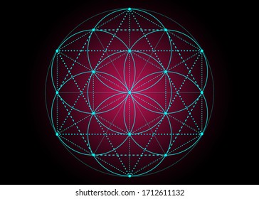 Seed of life symbol Sacred Geometry. blue and purple mystic mandala of alchemy esoteric, Flower of Life. Vector neon bright color effect isolated on black background