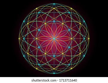 Símbolo de semilla de vida Geometría sagrada.  Mandala mística geométrica de alquimia esotérica Flor de vida. Muelle meditativo vectorial colorido y divino aislado en fondo negro