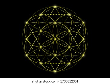 Seed of life symbol Sacred Geometry. yellow mystic mandala of alchemy esoteric, Flower of Life. Vector neon bright color effect isolated on black background