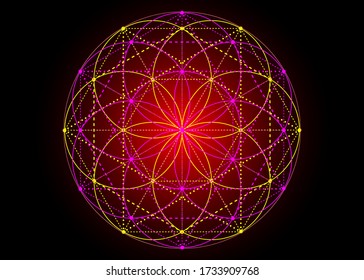 Seed of life symbol Sacred Geometry.  Geometric mystic mandala of alchemy esoteric Flower of Life. Vector boho colorful divine meditative amulet isolated on black and red background