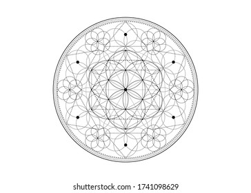 Símbolo de semilla de vida Geometría sagrada.  Mandala mística geométrica de la flor esotérica de la vida de alquimia. Amuleto meditativo vectorial divino blanco y negro aislado sobre fondo blanco