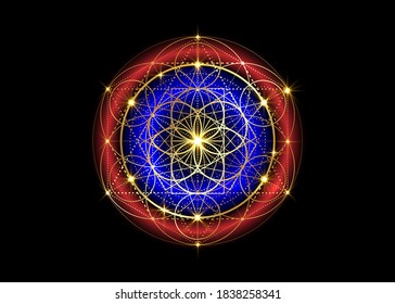 Seed of life symbol Sacred Geometry.  Geometric mystic mandala of alchemy esoteric Flower of Life. Gold luxury design, vector divine meditative amulet isolated on black background