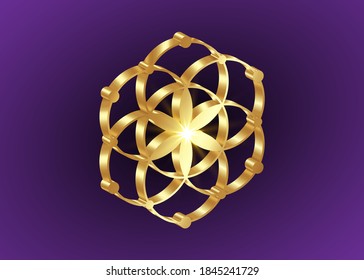 Símbolo de semilla de vida Geometría sagrada. Mandala mística geométrica 3D de alquimia esotérica Flor de vida. Diseño de lujo dorado, amuleto meditativo vectorial aislado en un fondo morado oscuro