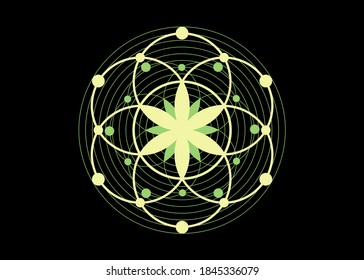 Seed of life symbol Sacred Geometry. Logo icon  Geometric mystic mandala of alchemy esoteric Flower of Life. Biologic concept, vector green tattoo divine meditative amulet isolated on black background