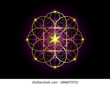 Seed of life symbol Sacred Geometry.  Geometric mystic mandala of alchemy esoteric Flower of Life. Gold luxury design, vector divine meditative amulet isolated on black and purple background