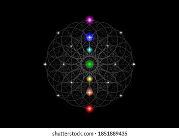 Seed of life symbol Sacred Geometry. Esoteric Flower of Life and colorful Seven chakras. Geometric mystic alchemy  mandala for spiritual meditation. Vector isolated on black background 