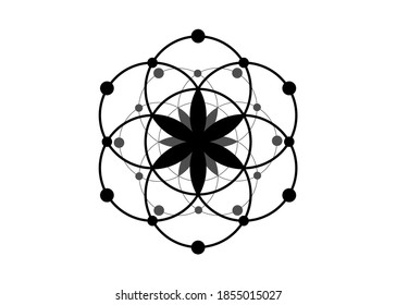 Símbolo de semilla de vida Geometría sagrada. Icono del logotipo Mandala mística geométrica de la flor esotérica de la vida de alquimia. Tatuaje negro vectorial amuleto meditativo divino aislado en fondo blanco