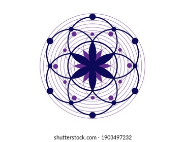 Seed of life symbol Sacred Geometry. Logo icon Geometric mystic mandala of alchemy esoteric Flower of Life. Vector purple and blue tattoo divine meditative amulet isolated on white background