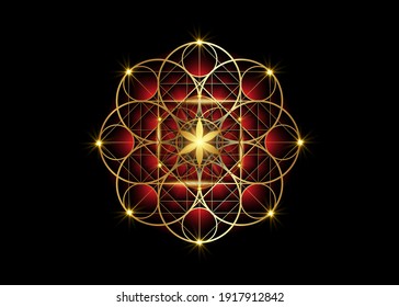 Símbolo de semilla de vida Geometría sagrada.  Mandala roja coloreada mística geométrica de la flor esotérica de la vida de alquimia. Diseño de lujo dorado, amuleto meditativo vectorial aislado en fondo negro