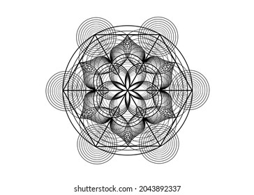 Símbolo de semilla de vida Geometría sagrada. Icono del logotipo Mandala mística geométrica de la flor esotérica de la vida de alquimia. Líneas negras vectoriales, Yantra, chakra o loto amuleto meditativo divino aislado en blanco 