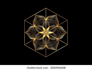 Seed of life symbol Sacred Geometry. Gold Logo icon  Geometric mystic mandala of alchemy esoteric Flower of Life. Interlaced gold circles, vector divine meditative amulet isolated on black background