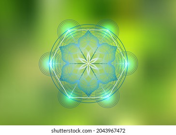 Seed of life symbol Sacred Geometry. Logo icon Geometric mystic mandala of alchemy esoteric Flower of Life. Vector purple lines, Yantra, chakra or lotus divine meditative amulet isolated on green 