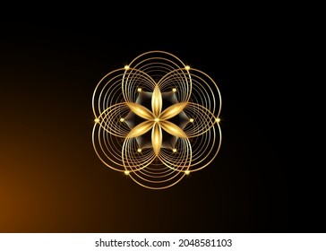 Símbolo de semilla de vida Geometría sagrada. Icono del logotipo de oro Mandala mística geométrica de la flor esotérica de la vida de alquimia. Círculos de oro entrelazados, amuleto meditativo vectorial sobre fondo negro