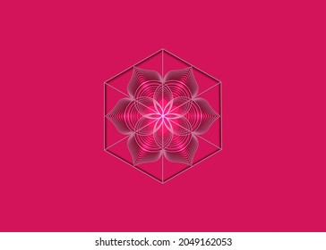 Seed of life symbol Sacred Geometry. Logo icon Geometric mystic mandala of alchemy esoteric Flower of Life. Vector purple lines, Yantra, chakra or lotus divine meditative amulet isolated on pink 