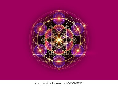 Semilla de la vida símbolo de la Geometría Sagrada. Mandala místico geométrico de la alquimia Flor esotérica de la Vida. Diseño de lujo del oro, amuleto meditativo divino del Vector colorido aislado en fondo púrpura