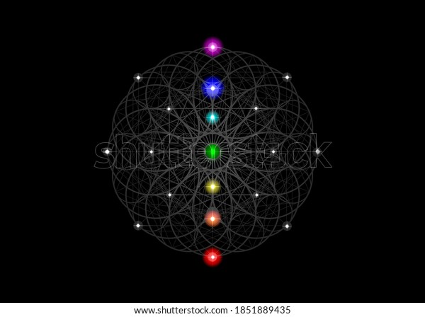 Seed of life symbol Sacred Geometry. Esoteric Flower of\
Life and colorful Seven chakras. Geometric mystic alchemy  mandala\
for spiritual meditation. Vector isolated on black background\
