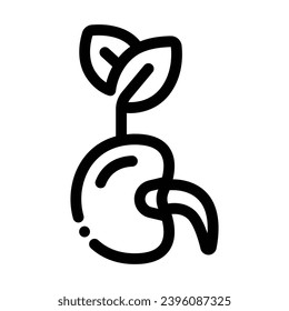 Seed Line Icon - Single Icon, Vector