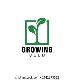 Seed Logo Concept