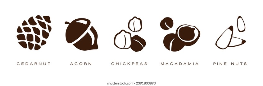 Seed and Nuts Brown Flat Icon with Name and Inscription Vector Set
