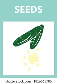 Seed Pack Icon. Flat Color Design. Vector Illustration.