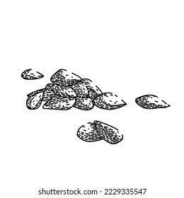 seed pesto hand drawn vector. sauce basil, food green,italian vegetarian, homemade splash, spoon, pine seed pesto sketch. isolated black illustration