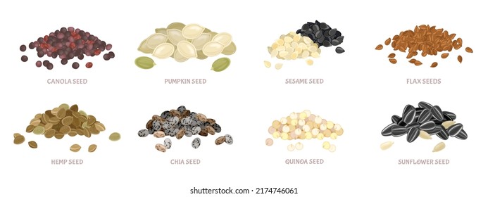 Seed pile set. Flax seed, sesame, chia, pumpkin seeds, canola, sunflower, quinoa, hemp seed. Vector simple illustration isolated on white. Icon in flat style.