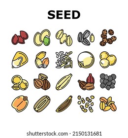 Seed Plant Agriculture Culture Icons Set Vector. Amaranth And Sunflower, Sesame And Flax, Chia And Mustard Agricultural Seed. Vegetable And Fruit Growing Vitamin Product Color Illustrations