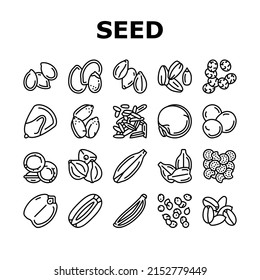 Seed Plant Agriculture Culture Icons Set Vector. Amaranth And Sunflower, Sesame And Flax, Chia And Mustard Agricultural Seed. Vegetable And Fruit Growing Vitamin Product Black Contour Illustrations
