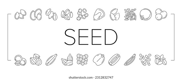 Seed Plant Agriculture Culture Icons Set Vector. Amaranth And Sunflower, Sesame And Flax, Chia And Mustard Agricultural Seed. Vegetable And Fruit Growing Vitamin Product Black Contour Illustrations
