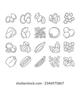 Seed Plant Agriculture Culture Icons Set Vector. Amaranth And Sunflower, Sesame And Flax, Chia And Mustard Agricultural Seed. Vegetable And Fruit Growing Vitamin Product Black Contour Illustrations