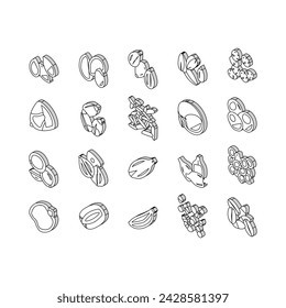 Seed Plant Agriculture Culture isometric icons set. Amaranth And Sunflower, Sesame And Flax, Chia And Mustard Agricultural Seed. Vegetable And Fruit Growing Vitamin Product Color