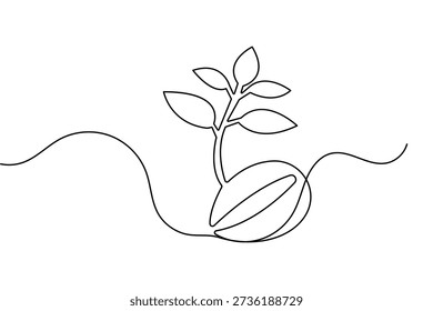 seed