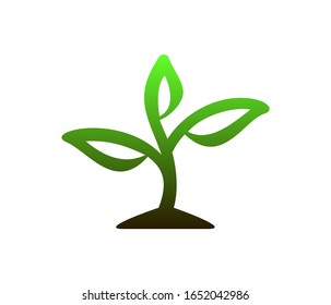 seed plant icon, Sprout vector logo design template