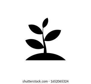seed plant icon, Sprout vector logo design template